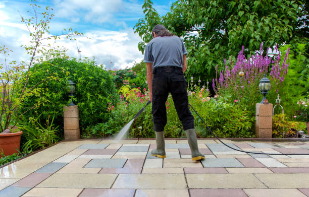 Animal Enclosure Cleaning in Kearns, UT